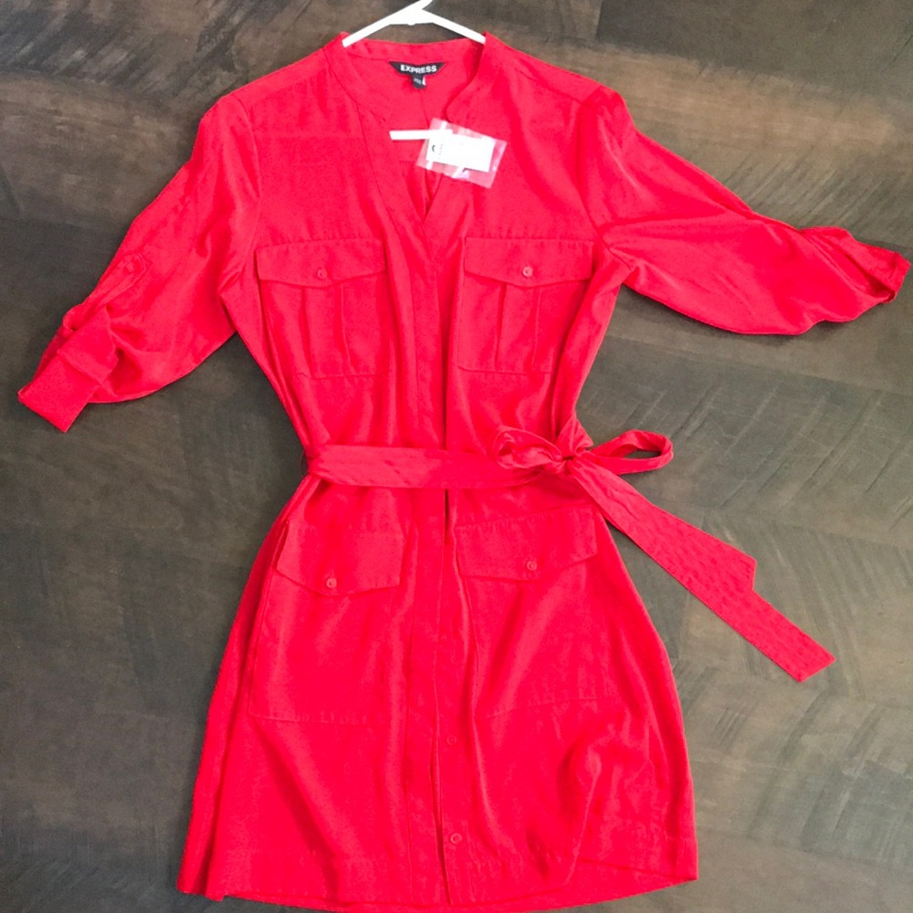 Nwt Express dress
